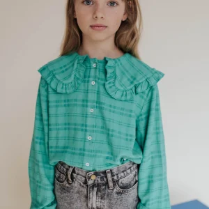 Collar blouse magic green check